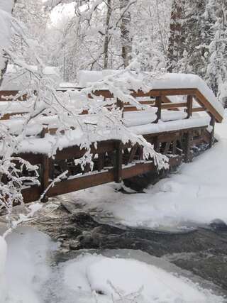 Фото Дома для отпуска Menninkäinen Cottage г. Rutalahti